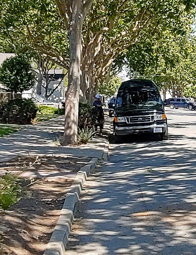 Tesla Model 2 Line striping goes rogue... crookedcurb