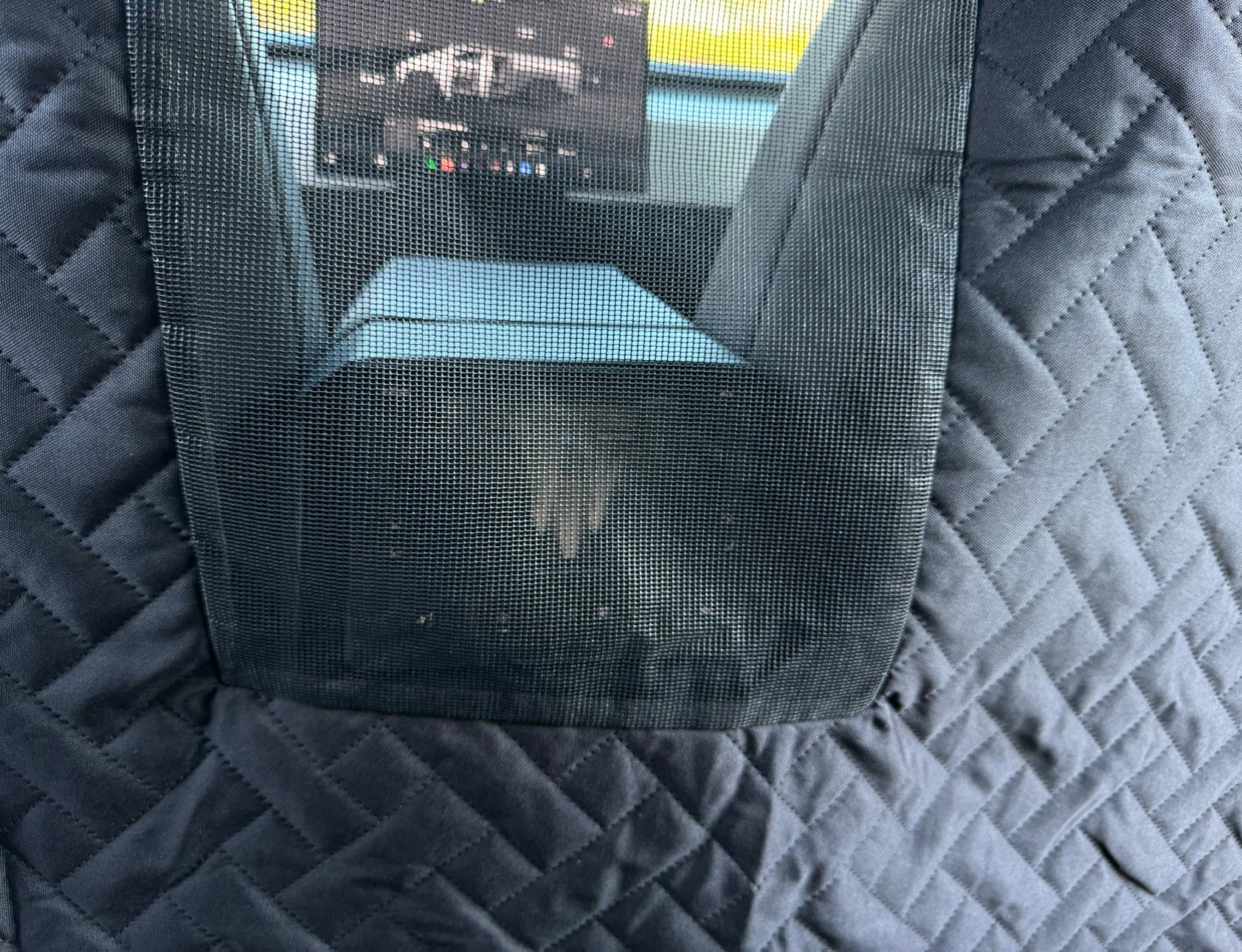 Tesla Model 2 UranusWander (Previously MarsAccs) Pet Cover v0.2.0 Updates IMG_6471