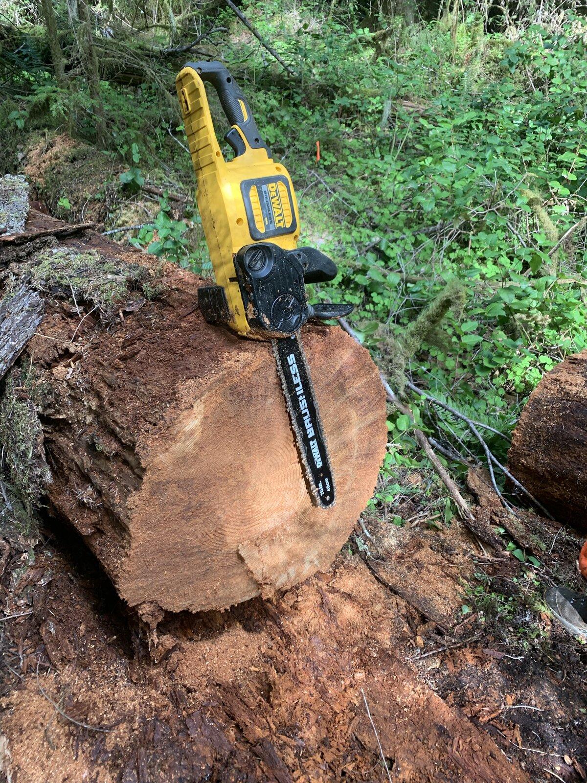 Tesla Model 2 California bans gas-powered lawn equipment and other “small off-road engines” 1634068015409